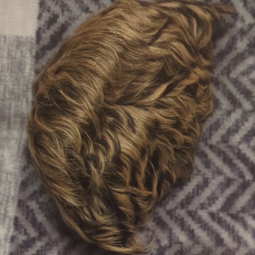 Just USA Luxurious Brown Hair Wig - Picture 2 of 3